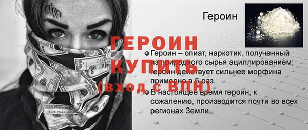 индика Новозыбков