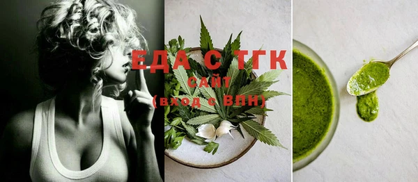 индика Новозыбков