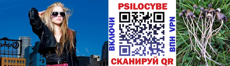 Псилоцибиновые грибы Magic Shrooms  Купить закладки  Дербент